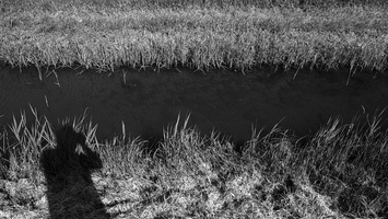 20200504-FM3a-28mm-FP4-Vecht-201