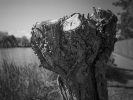 20200504-FM3a-28mm-FP4-Vecht-206-bewerkt