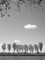 20200505-Loenen-134