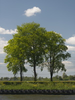 20200505-Loenen-136