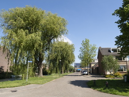 20200506-Kamerik-144