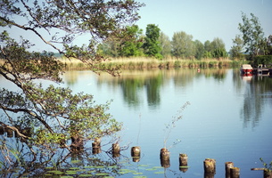 20200507-F5-85mm-Ektar100-Loenen-212