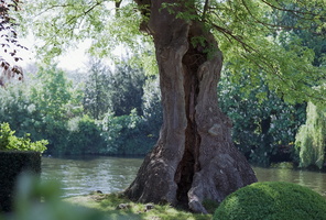 20200507-F5-85mm-Ektar100-Loenen-315