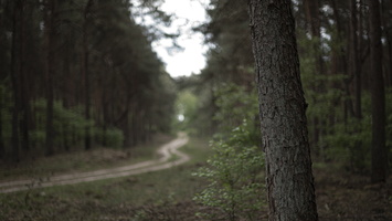 20200516-M240-Kootwijkerzand-113