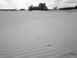 20200516-Q2-Kootwijkerzand-136
