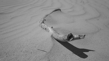 20200516-Q2-Kootwijkerzand-144
