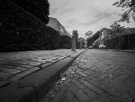 20200518-Cosina-107SW-15mm-FP4-Loenen-105