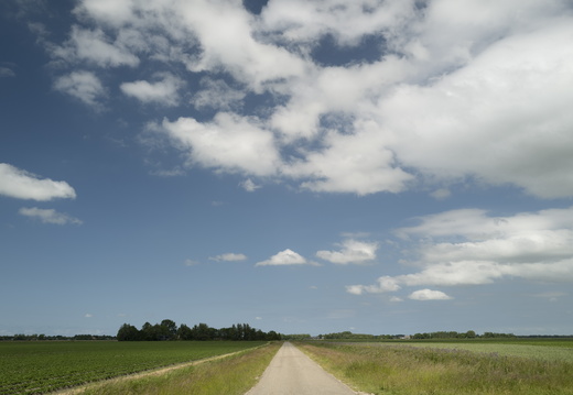 20200611-NoordNederland-106