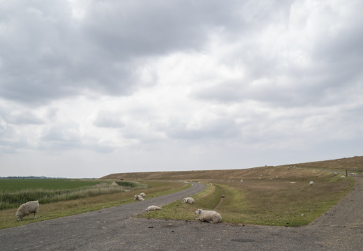 20200611-NoordNederland-117
