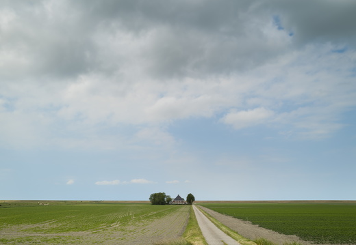 20200611-NoordNederland-118