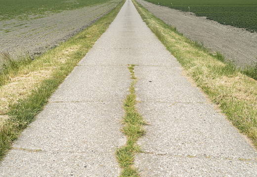 20200611-NoordNederland-122