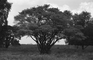 20200619-Topcon-Delta100-Fietsen-119