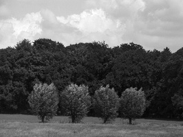 20200619-Topcon-Delta100-Fietsen-122