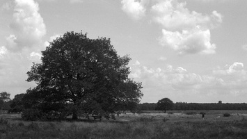 20200619-Topcon-Delta100-Fietsen-140