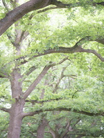 200705-Loenen-124
