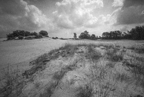 20200718-Cosina107-15mm-Delta400-Kootwijk-124