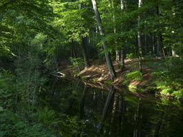 20200802-Fietsen-125