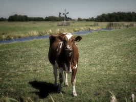 20200805-Fietsen-103