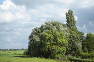 20200824-Loenen-108