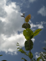 20200824-Loenen-111