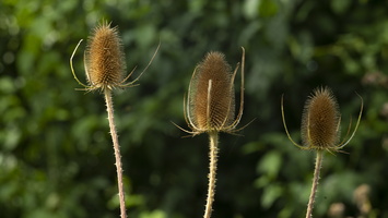 20200824-Loenen-113