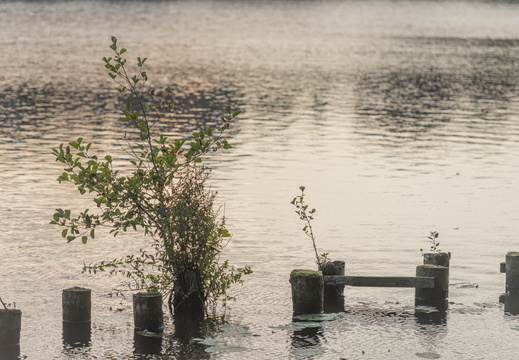 20200912-Loenen-1014