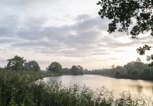 20200912-Loenen-1015