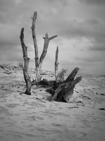 20200926-Kootwijkerzand-112