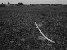 20200926-Kootwijkerzand-134