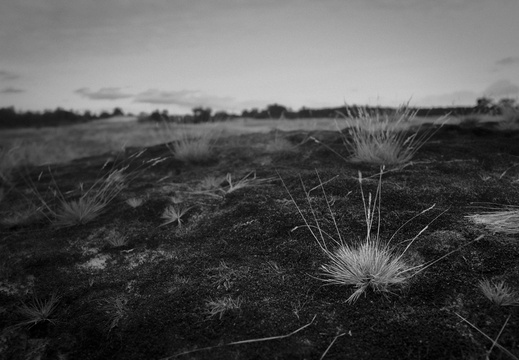 20200926-Kootwijkerzand-136