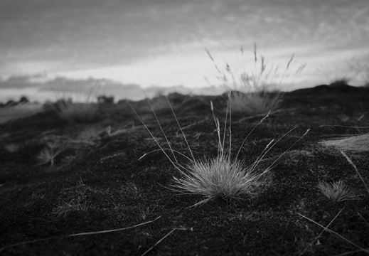 20200926-Kootwijkerzand-137