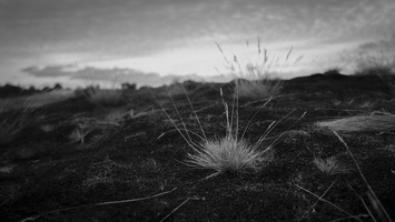 20200926-Kootwijkerzand-137