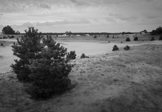 20200926-Kootwijkerzand-138