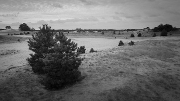 20200926-Kootwijkerzand-138