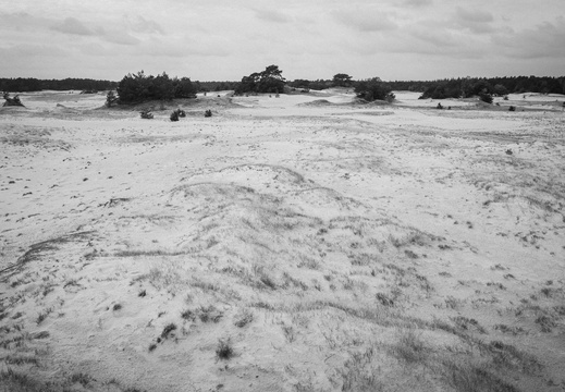 20200926-Kootwijkerzand-139