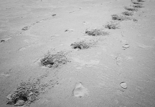 20200926-Kootwijkerzand-140