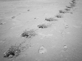 20200926-Kootwijkerzand-140