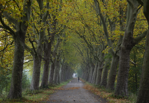 20201023-Haanwijk-101
