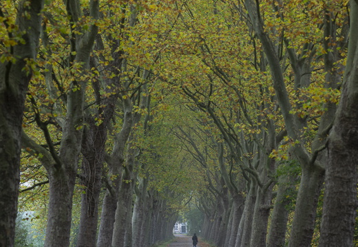 20201023-Haanwijk-102