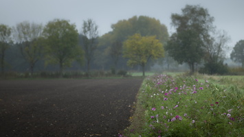 20201023-Haanwijk-114