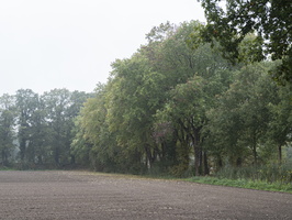 20201023-Haanwijk-117