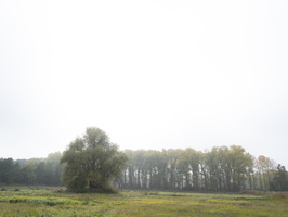 20201023-Haanwijk-121