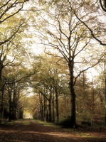 20201106-Fietsen-110