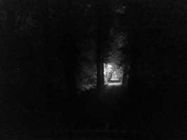 20201110-LoenenBijNacht-115