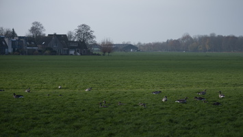20201129-Vecht-104
