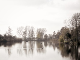 20201129-Vecht-121