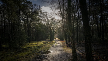 20201225-Kerstmis-108