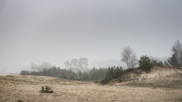 20210102-Kootwijkerzand-103