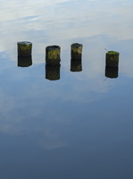210109-Vecht-102