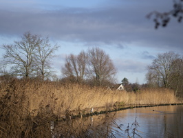 210109-Vecht-106
